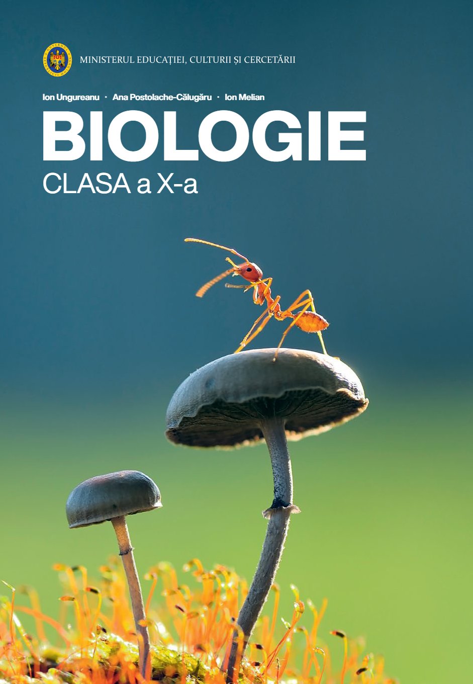 Biologie: Clasa a X-a